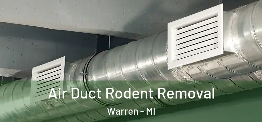  Air Duct Rodent Removal Warren - MI