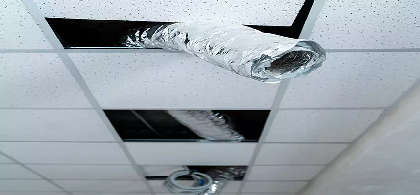 Affordable HVAC Sanitizing After Pest Removal in Warren