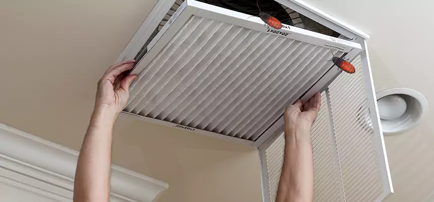 Our Insect Removal from Air Ducts Services in Warren, MI