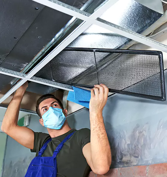About Air Duct Bacteria Removal in Warren