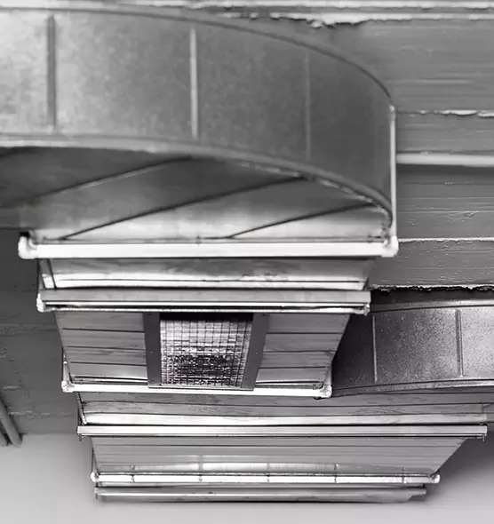 Professional Air Duct Pest Removal in Warren, MI