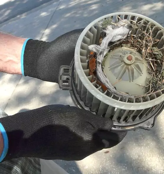 About Air Duct Rat Removal in Warren, MI