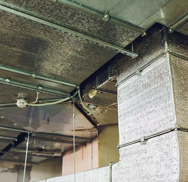 Why Homeowners & Businesses Trust Us in Warren, MI?